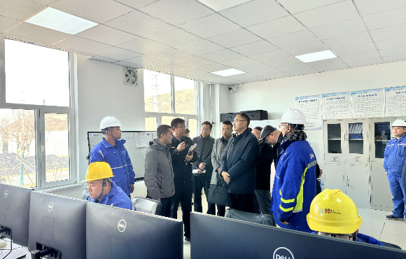 青海省生態(tài)環(huán)境廳黨組書記、廳長湯宛峰調(diào)研麥王項目